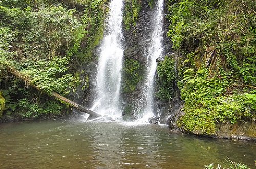 Moshi best day trip to Marangu waterfall