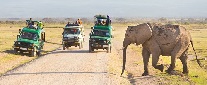 Book Tanzania safari