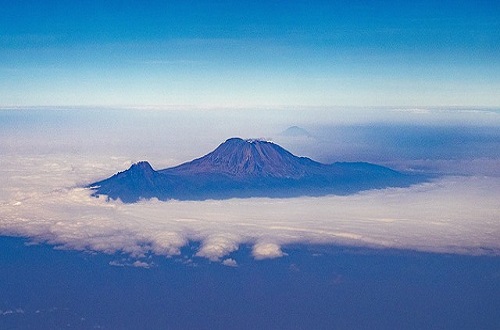7 days Lemosho route hiking kilimanjaro in  