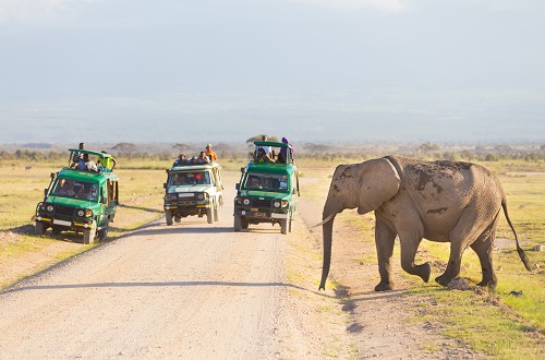 5 days Tanzania Big 5 safari tours in  