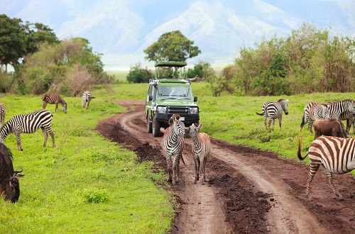 2 days Tanzania private lodge safari