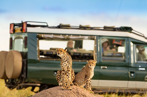 3 days Tanzania private lodge safari